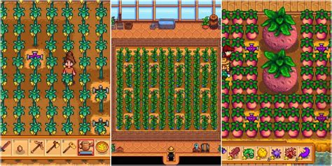 best crops greenhouse stardew|most profitable crops in stardew.